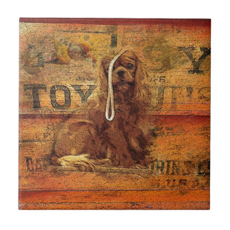 Carreau Cavalier King Charles Spaniel