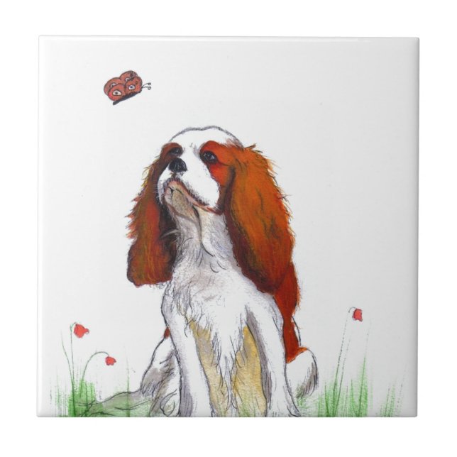 Carreau Cavalier King Charles Spaniel CKC (Devant)