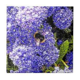 Carreau Ceanothus Flower Bee