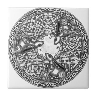 Carreau Celtic, lièvre de observation de lune