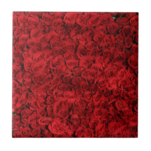 Carreau Centaines de beaux roses rouges