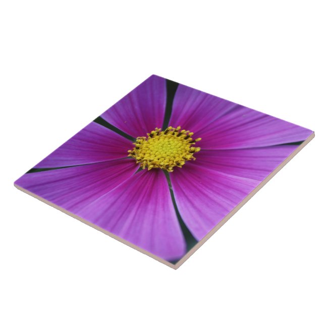 Carreau Centre du carrelage Cosmos (Côté)