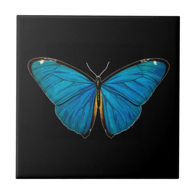 CARREAU CÉRAMIQUE: BLEU BUTTERFLY (Devant)
