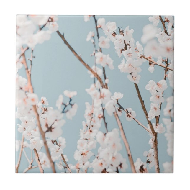 CARREAU CÉRAMIQUE: BLOSSOM PLUM  (Devant)