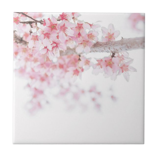 CARREAU CÉRAMIQUE: CHERRY BLOSSOM (Devant)