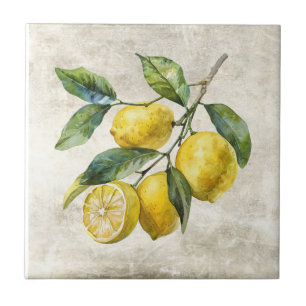 Carreau Céramique de cottage shabby chic aux citrons rusti