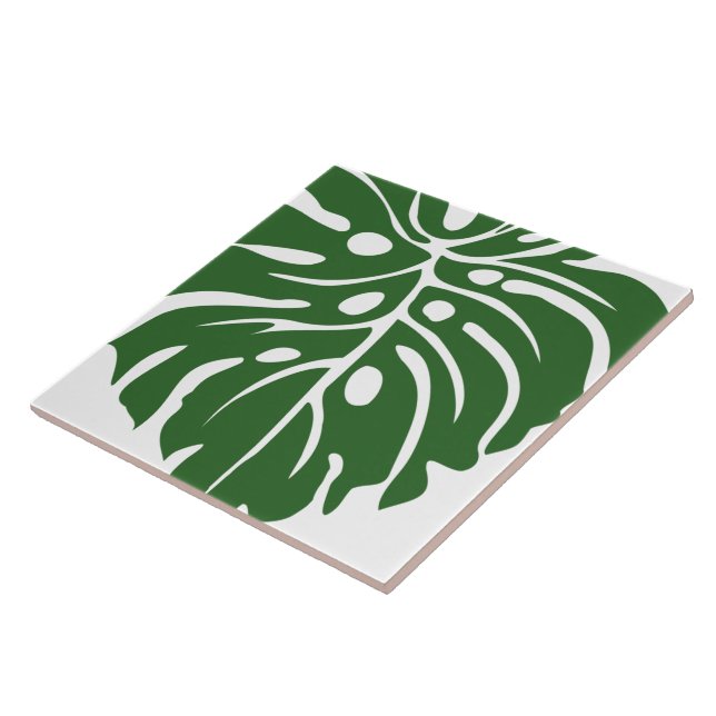 Carreau céramique motif tropicale (Côté)
