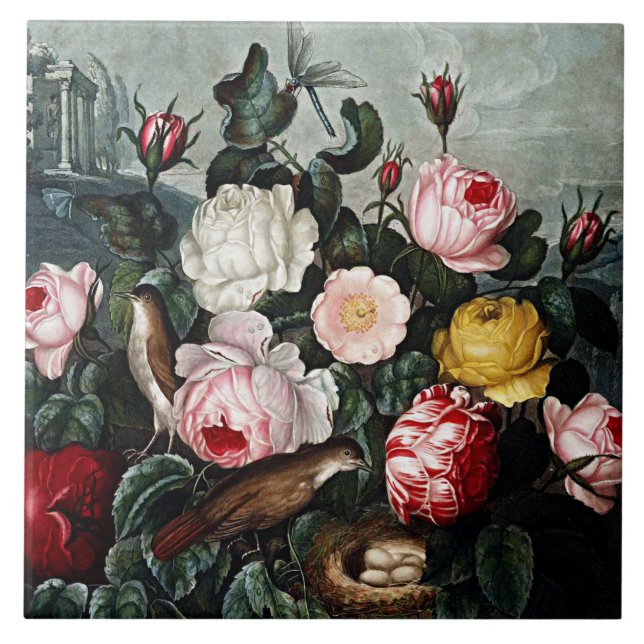 Carreau Céramique Rose en fleurs botaniques (Devant)