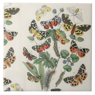 Carreau céramique tuile 6 pouces avec papillons