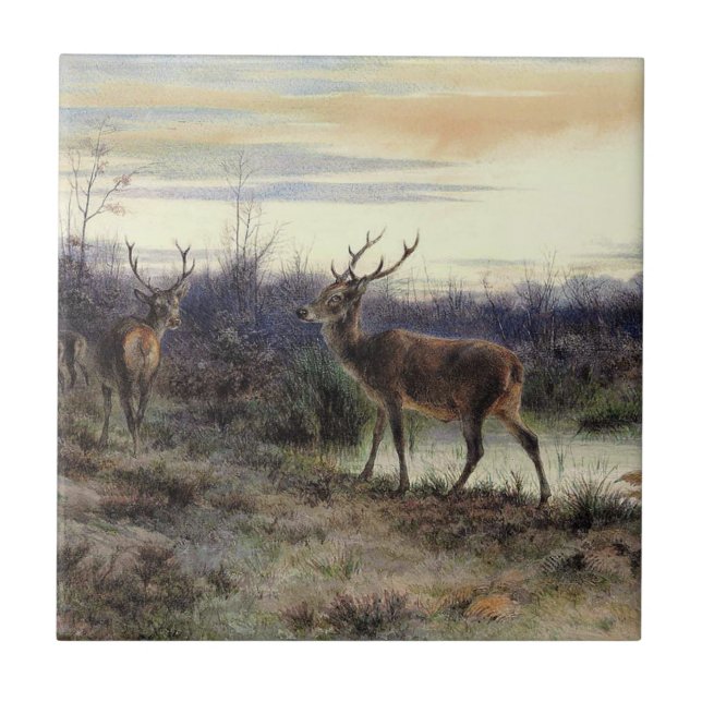 Carreau Cerf dans la forêt de Fontainebleau (Rosa Bonheur) (Devant)