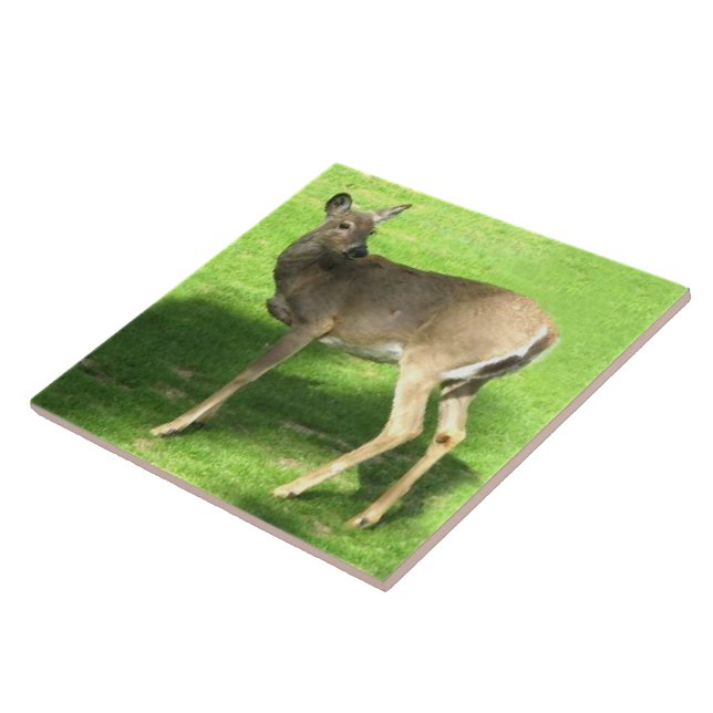 Carreau Cerfs communs sur l'herbe 6x6 (Côté)
