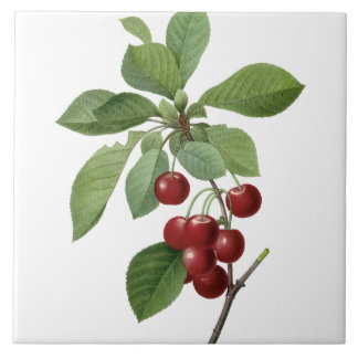 Carreau Cerises de Pierre-Joseph Redouté peignant la tuile