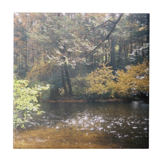 Carreau Chaleureux (Devant)