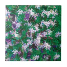 Champ de marguerites