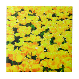 Carreau Champ de tulipe - jaune or