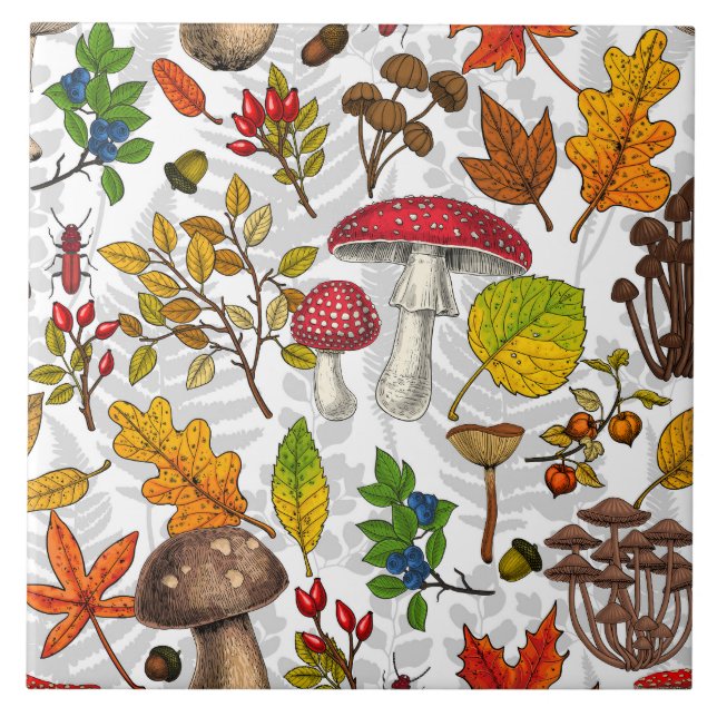 Carreau Champignons d'automne, feuilles, noix et baies sur (Devant)