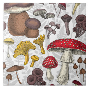 Carreau Champignons sauvages