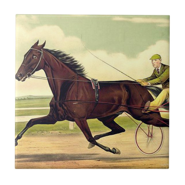 Carreau Champion boudeur SUPÉRIEUR (Devant)