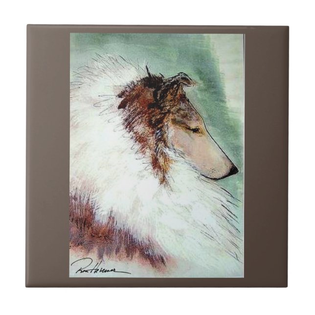 Carreau Champion Collie. .. (Devant)