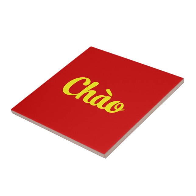 Carreau Chào / Hello ~ Vietnam / Vietnamien / Tiêt Viêt (Côté)