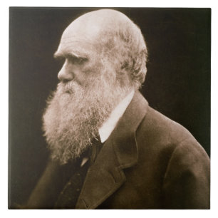 Carreau Charles Darwin (1809-82) (photo)