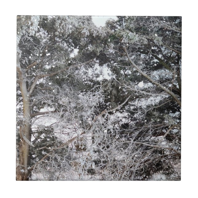 Carreau Chasse au Camouflage Motif de neige 4 (Devant)