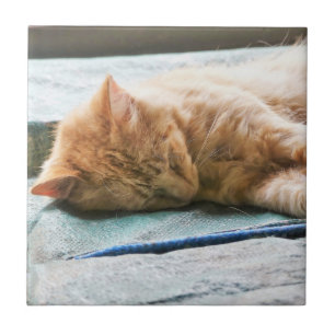 Carreau Chat au gingembre Longhé