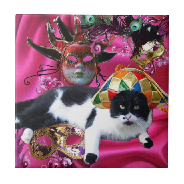 CARREAU CHAT AVEC CASQUETTE HARLEQUIN ET MASQUERADE DE FÊT (Devant)