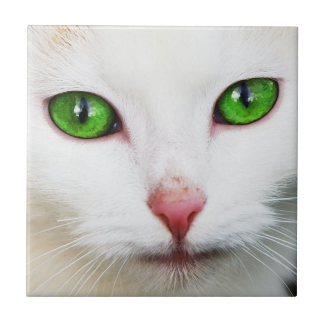 Carreau Chat avec tuile verte aux yeux (Devant)