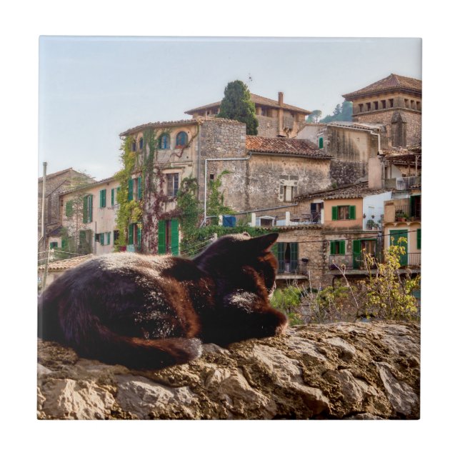 Carreau Chat bronzage sur un mur - Valldemossa, Majorque (Devant)