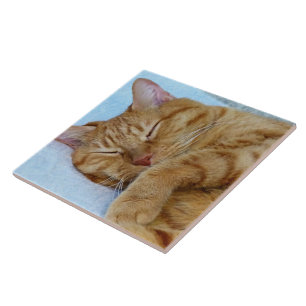 Carreau Chat couché