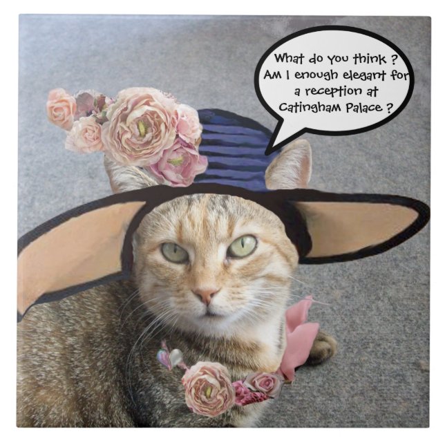 CARREAU CHAT ÉLÉGANT AVEC CASQUETTE DIVA, ROSES ROSES ROSE (Devant)