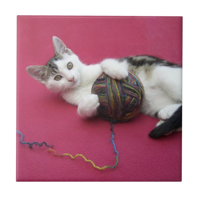 Carreau Chat et fil (Devant)