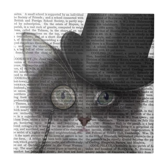 Carreau Chat gris avec chapeau supérieur (Devant)