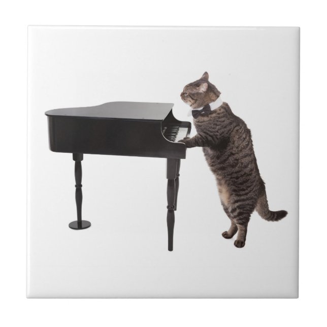 Carreau Chat Jouer Piano (Devant)