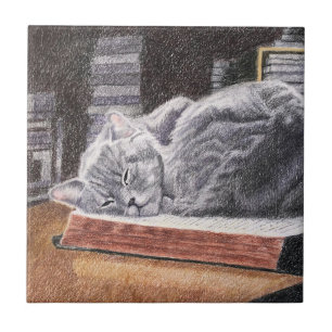 Carreau Chat Librairie