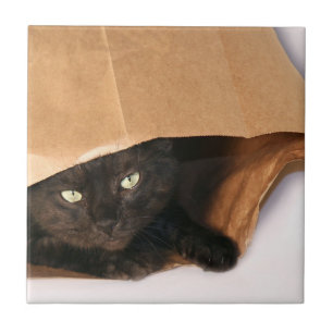 Carreau Chat noir dans le sac