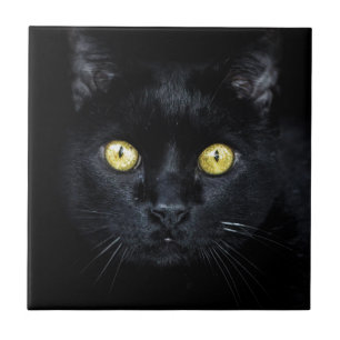 Carreau Chat noir, Yeux magiques
