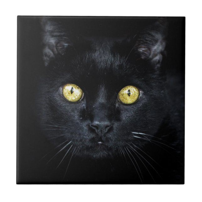 Carreau Chat noir, Yeux magiques (Devant)