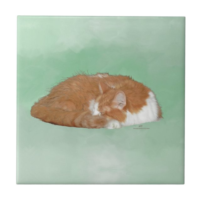 Carreau Chat orange endormi (Devant)