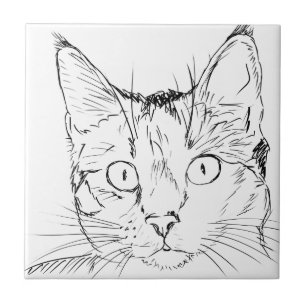 Carreau Chat Puddy