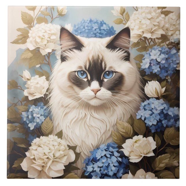 Carreau Chat Ragdoll Avec Fleurs Bleues D'Hydrangée (Devant)