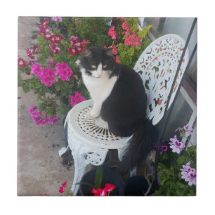 Carreau Chat smoking élégant mignon avec de jolies fleurs 