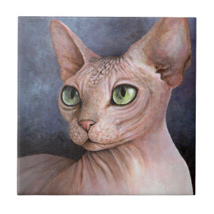 Carreau Chat Sphynx 578