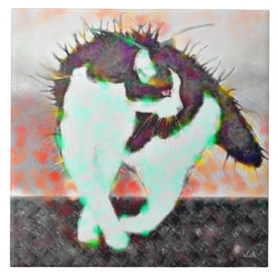 Carreau Chat sur un toit chaud de bidon