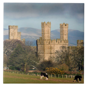 Carreau Château de Caernarfon au Pays de Galles.