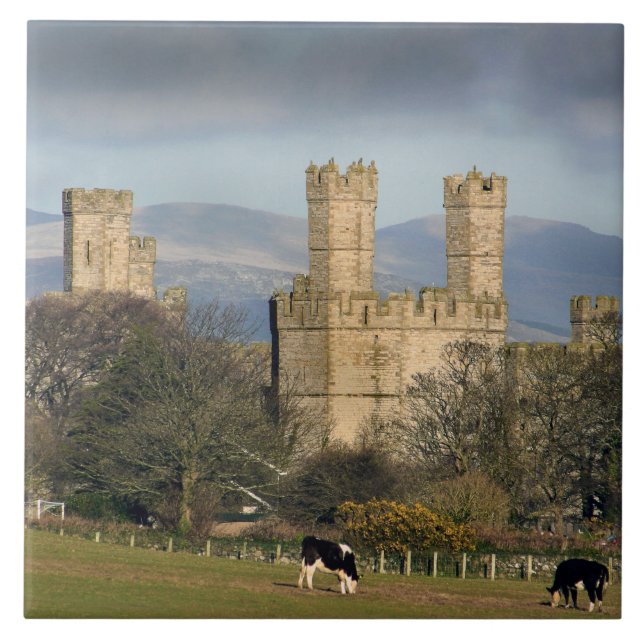 Carreau Château de Caernarfon Wales. (Devant)