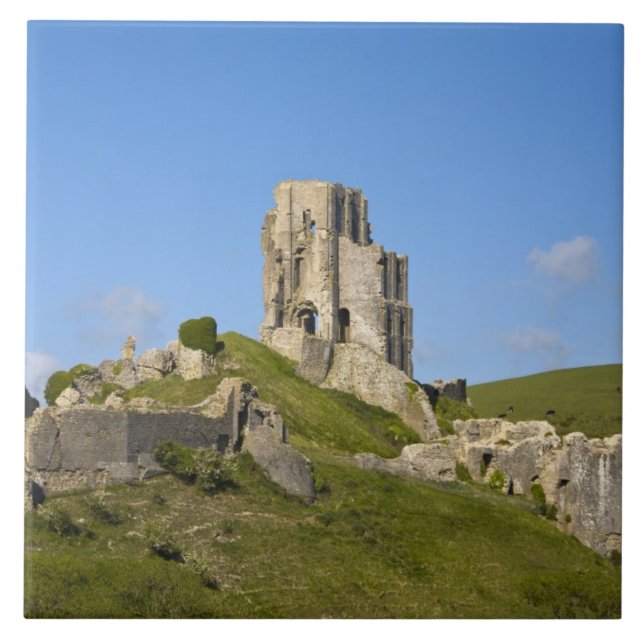 Carreau Château de Corfe, Corfe, Dorset, Angleterre (Devant)