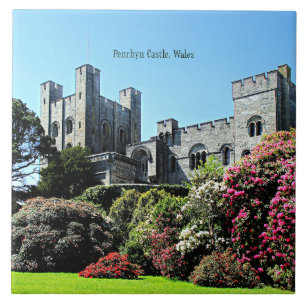 Carreau Château de Penrhyn, Pays de Galles