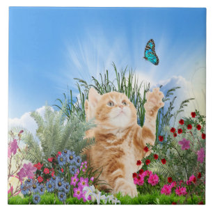 Carreau Chaton gingembre jouant avec un papillon